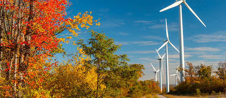 slider_windmills_trees